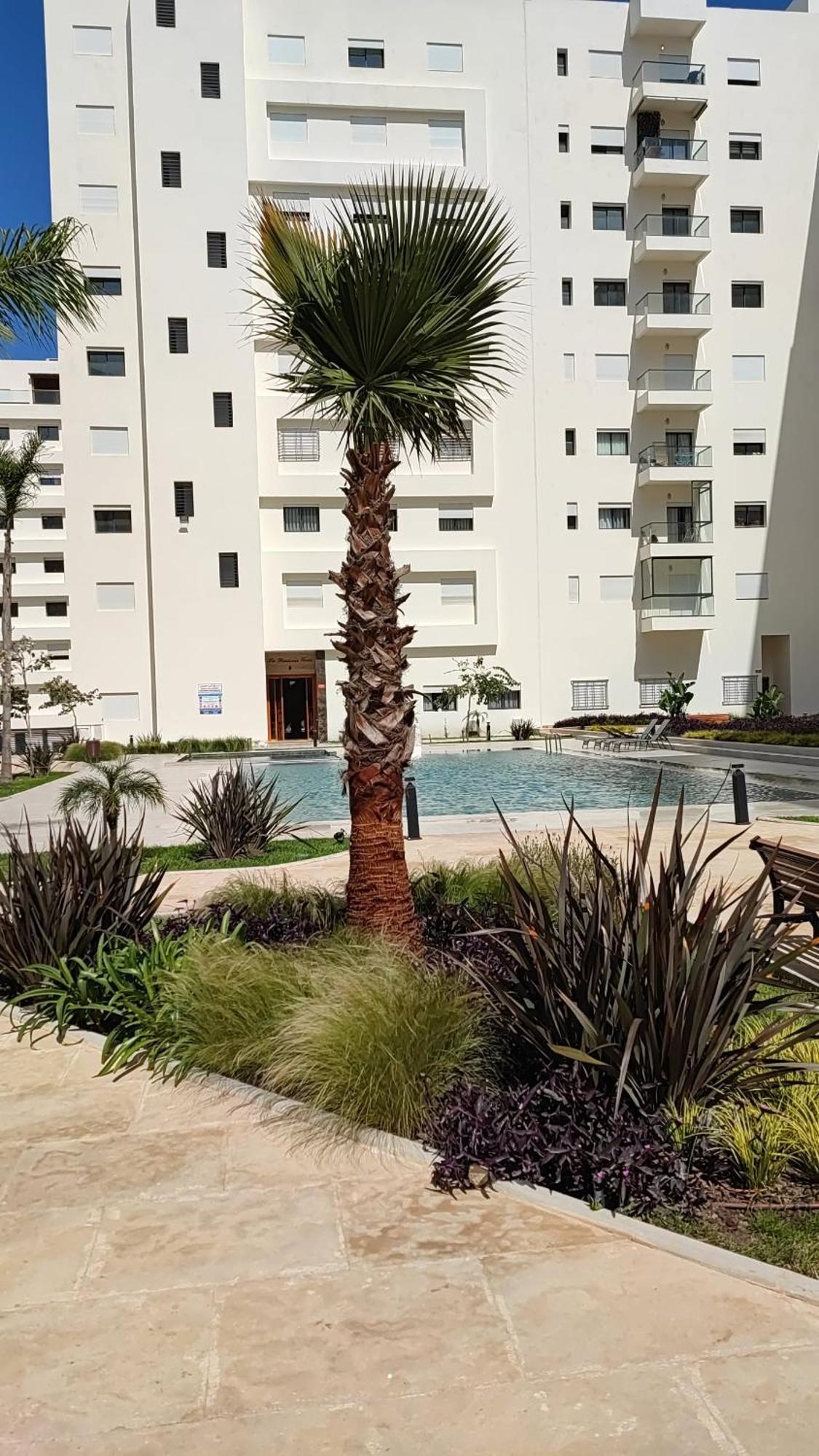 Standing Et Piscine *
